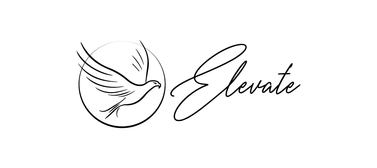 Imagem do campo Aplicação | **Mentoria Elevate**