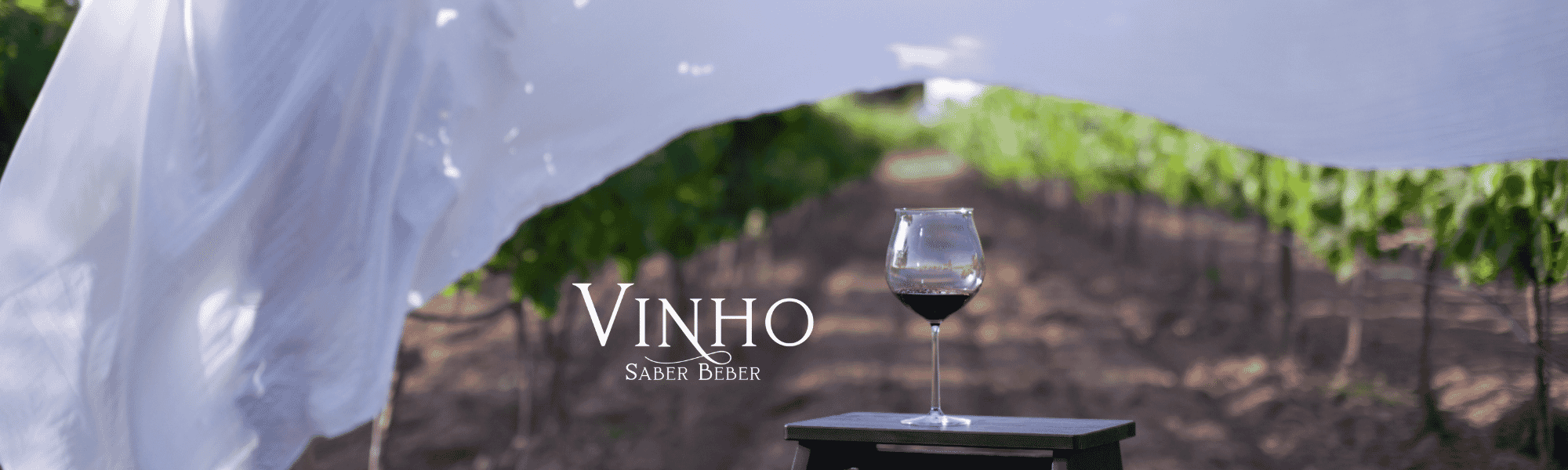 Imagem do campo **Enoturismo com Curadoria**