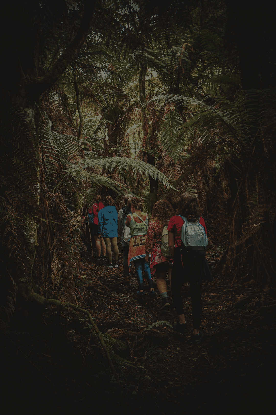 Imagem do campo **APLICAÇÃO - IMERSÃO FITOOLIFE**