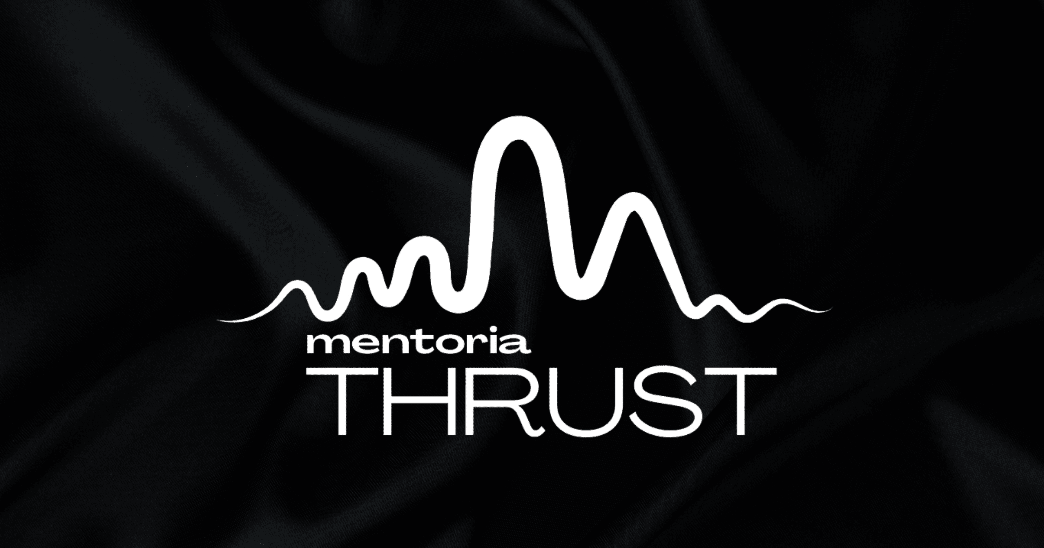 Imagem do campo **Bem-vinda à Mentoria THRUST**